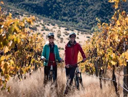 Bike the Wineries Self Guided Tour from Queenstown